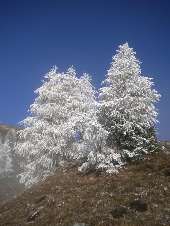 Ferienwohnungen Forellenhof Waldner غندرشيم المظهر الخارجي الصورة