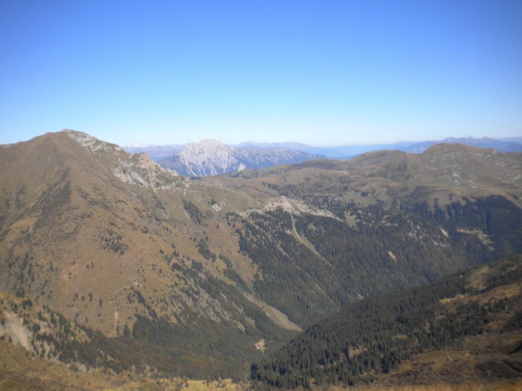 Ferienwohnungen Forellenhof Waldner غندرشيم المظهر الخارجي الصورة